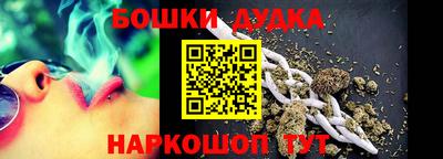 индика Дубна