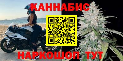 индика Дубна