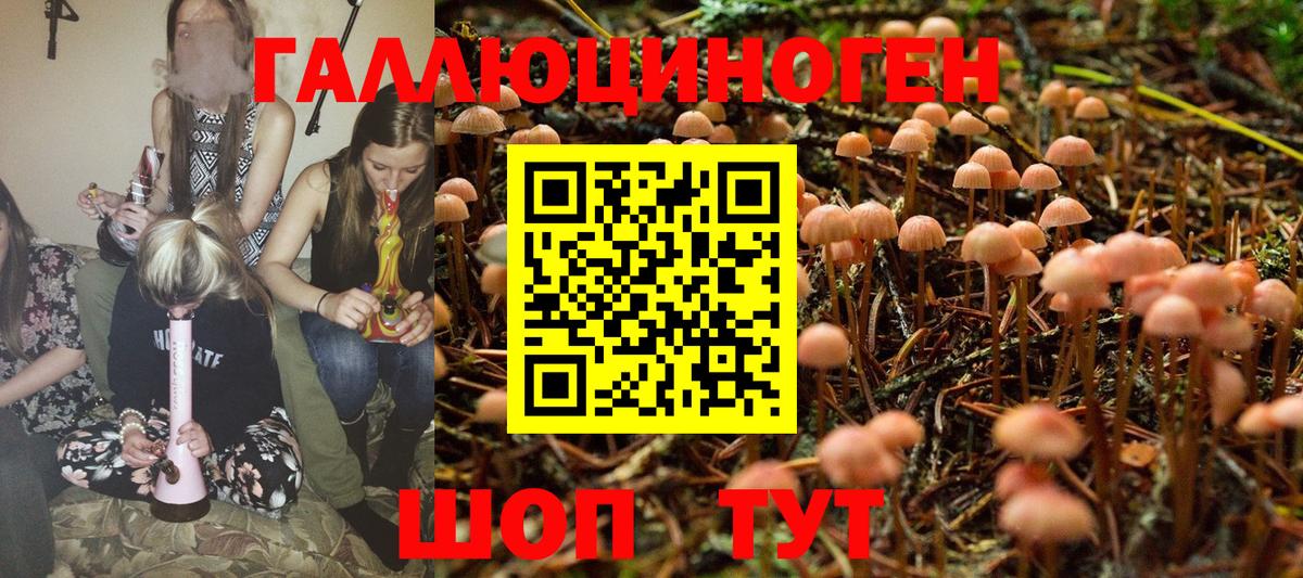 Галлюциногенные грибы ЛСД Курчатов