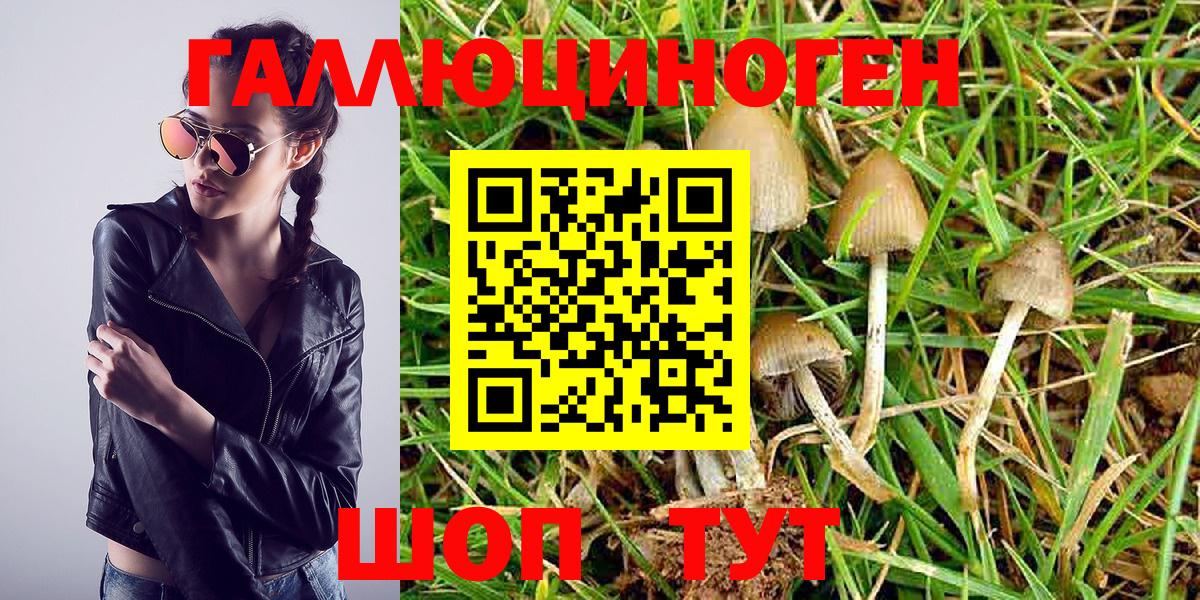 Галлюциногенные грибы мицелий  Галлюциногенные грибы MAGIC MUSHROOMS  Вход с VPN  Курчатов 