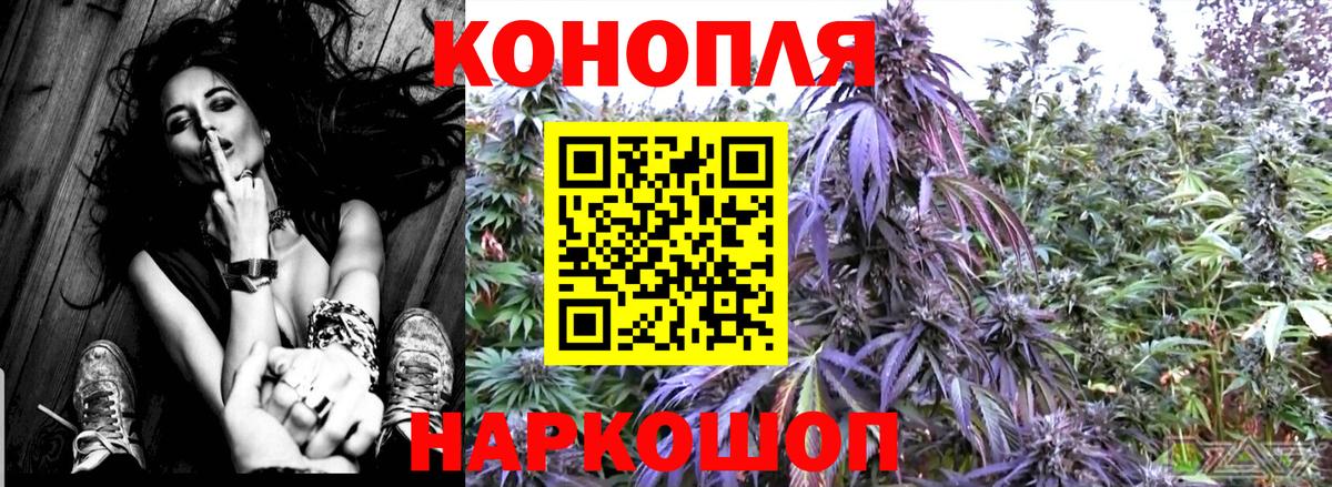 Шишки марихуана конопля  Вход с VPN  Шишки марихуана VHQ  Курчатов 
